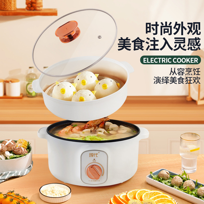 Multifunctional Mini Electric  - Home Cooking Appliances 评论和价格