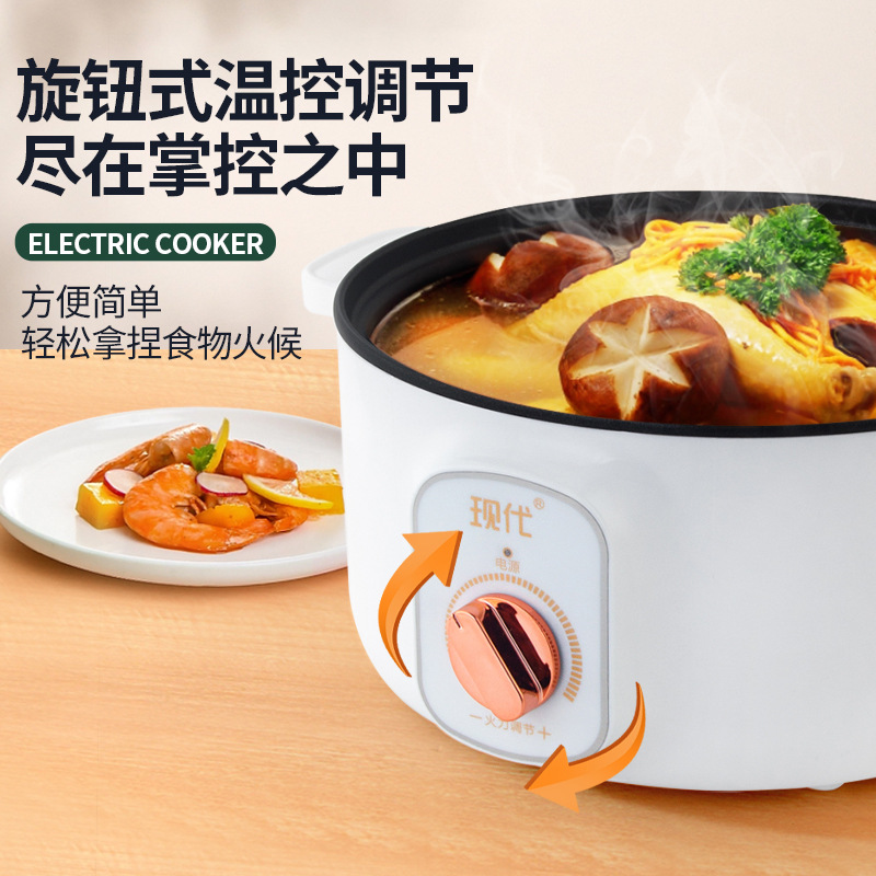 Multifunctional Mini Electric  - Home Cooking Appliances 评论和价格